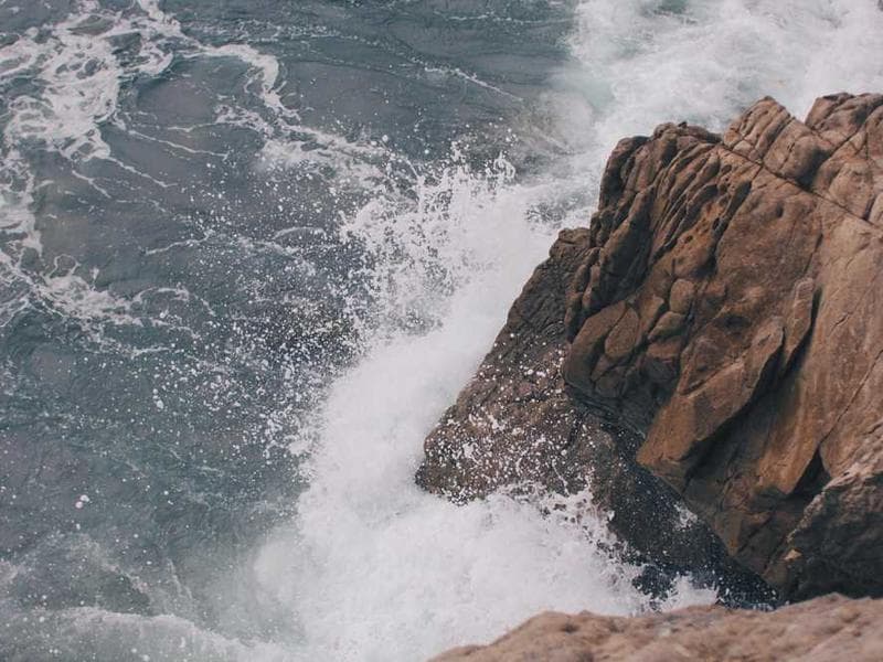 Demo add ons Product image 1