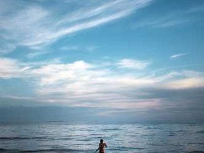 Customer Support ChatBot