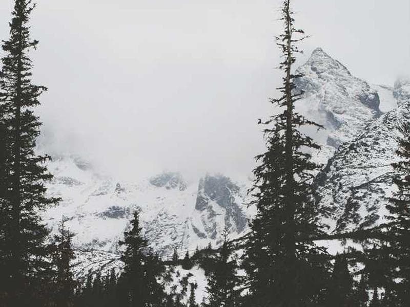 Demo graphics Product image 1