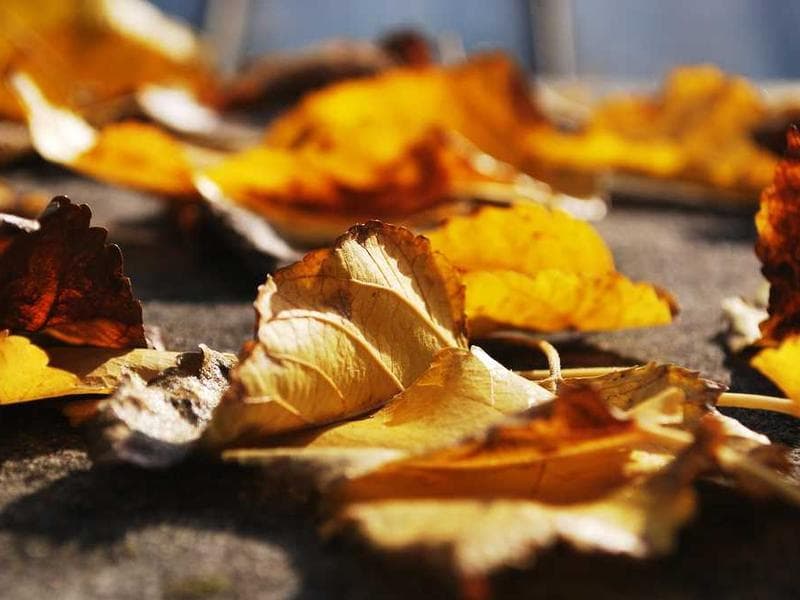 Demo photos Product image 1